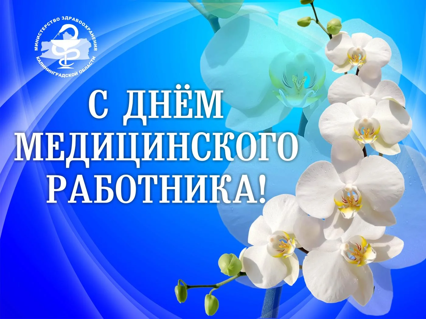 Министр здравоохранения поздравил коллег с Днем медицинского работника