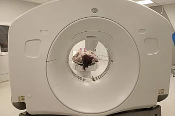 Около четырехсот исследований проведено в Советске на новом компьютерном томографе Около четырехсот исследований проведено в Советске на новом компьютерном томографе